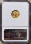 2008 W 1/10 Oz Gold American Buffalo Coin