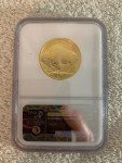2008-W Gold Buffalo Coin 1/2 oz MS-70