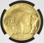 2008 Burnished American Buffalo Gold Coin, MS 70