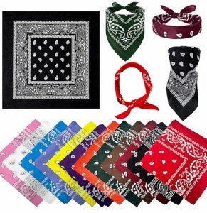 12 Pack Large Paisley Bandanas for Men and Women