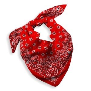 Red Cotton Paisley Bandana for Men and Women