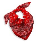 Red Cotton Paisley Bandana for Men and Women