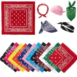 Colorful 12-Pack Paisley Bandanas for Everyone