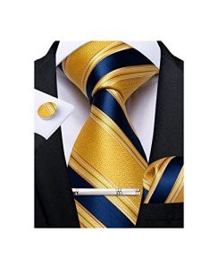 DiBanGu Men’s Yellow and Blue Stripe Tie Set