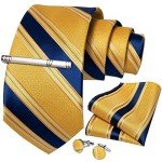 DiBanGu Men’s Yellow and Blue Stripe Tie Set