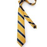 DiBanGu Men’s Yellow and Blue Stripe Tie Set