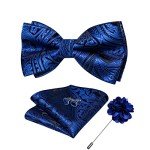 DiBanGu Men's Blue Silk Bow Tie Set