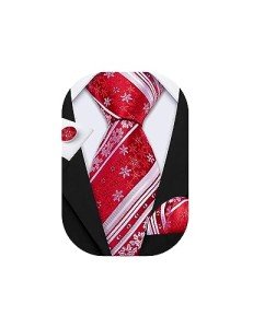 Barry.Wang Christmas Ties & Accessories Set for Men