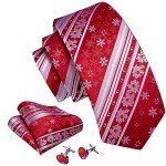 Barry.Wang Christmas Ties & Accessories Set for Men