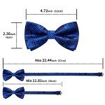 DiBanGu Men's Blue Silk Bow Tie Set