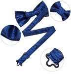 DiBanGu Men's Blue Silk Bow Tie Set
