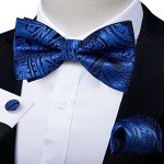 DiBanGu Men's Blue Silk Bow Tie Set