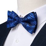 DiBanGu Men's Blue Silk Bow Tie Set