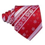 Barry.Wang Christmas Ties & Accessories Set for Men