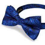 DiBanGu Men's Blue Silk Bow Tie Set
