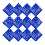 12 Pack Royal Blue Paisley Bandanas for All
