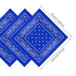 12 Pack Royal Blue Paisley Bandanas for All