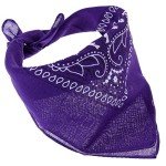 12-Pack Multicolor Bandanas for Men & Women