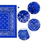 12 Pack Royal Blue Paisley Bandanas for All