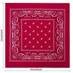 Men's and Women's Versatile Bandana Face Scarves