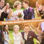 Classic Solid Color Ties and Pocket Square Set