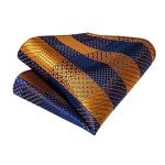 Men's Blue Gold Plaid Silk Cravat Tie Set
