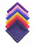 6PCS Silk Pocket Squares Set for Men