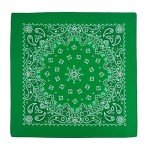 Green Paisley Bandana for Men & Women