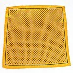 6PCS Silk Pocket Squares Set for Men