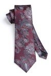 HISDERN Burgundy Paisley Tie and Pocket Square Set