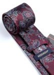 HISDERN Burgundy Paisley Tie and Pocket Square Set