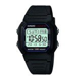Casio Men's W800H-1AV Classic Sport Watch