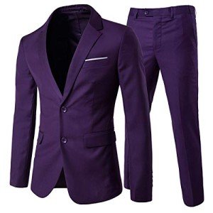Purple Slim Fit 2-Piece Men's Suit Set