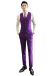 Purple Slim Fit 2-Piece Men's Suit Set