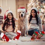 Suhine 24 Pairs Fuzzy Socks for Christmas Gifts