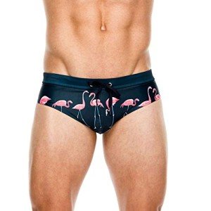 Men's Flamingo Print Thong Swim Briefs - Green