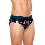 Men's Flamingo Print Thong Swim Briefs - Green