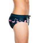 Men's Flamingo Print Thong Swim Briefs - Green
