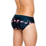 Men's Flamingo Print Thong Swim Briefs - Green