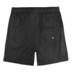 Men's 5.5" Swimming Shorts with Compression Liner