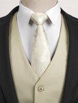 Beige Men's Suit Vest for Formal Wear
