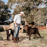 HISEA NINGO Men's Waterproof Steel Toe Work Boots