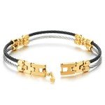 Mens Womens Steel Two-row Twisted Cable Bangle Bracelet with Charms, Silver Gold Black