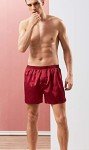 Mens Satin Boxer Shorts Silk Underwear Pajama Bottoms Comfy Sleep Lounge Shorts with Button Fly