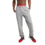 Champion Men's Powerblend Fleece Sweatpants - Gray