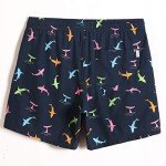 MaaMgic Men's Quick-Dry Solid Swim Trunks