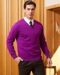 KALLSPIN Men's Purple V Neck Cotton Sweater