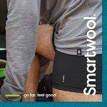 Smartwool Men's Merino V-Neck Sweater, X-Large