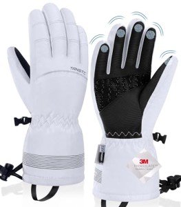 Men’s Waterproof Thermal Touchscreen Ski Gloves