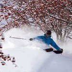 6 Pairs Thermal Winter Gloves for All Ages